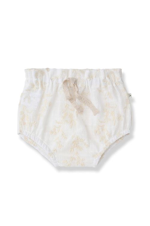  1+ in the family | ULLAECRU